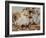 In the Flinders Ranges-null-Framed Giclee Print