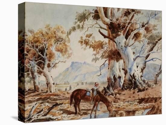 Stretched Canvas Print, , large