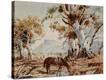 Stretched Canvas Print