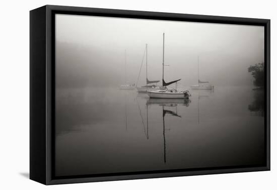 In the Fog - BW-Tammy Putman-Framed Premier Image Canvas