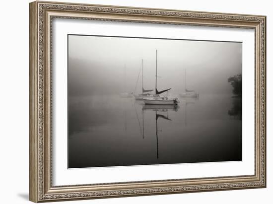 In the Fog - BW-Tammy Putman-Framed Photographic Print
