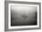 In the Fog - BW-Tammy Putman-Framed Photographic Print