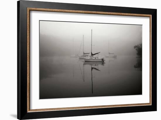 In the Fog - BW-Tammy Putman-Framed Photographic Print