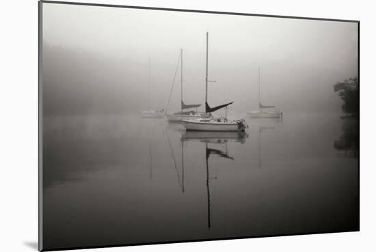 In the Fog - BW-Tammy Putman-Mounted Photographic Print