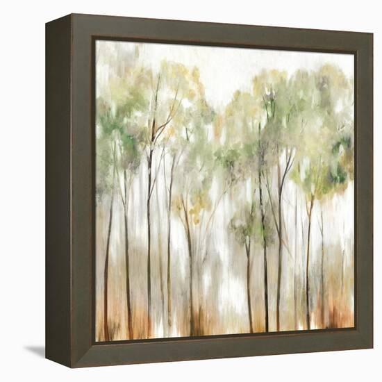 In the Fog I-Allison Pearce-Framed Stretched Canvas