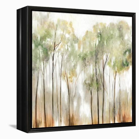 In the Fog I-Allison Pearce-Framed Stretched Canvas