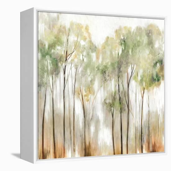 In the Fog I-Allison Pearce-Framed Stretched Canvas