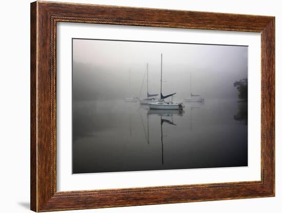 In the Fog-Tammy Putman-Framed Photographic Print