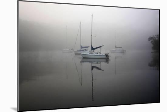 In the Fog-Tammy Putman-Mounted Photographic Print