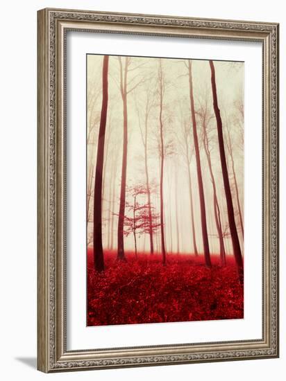 In the Footsteps of Fairy Tales-Philippe Sainte-Laudy-Framed Photographic Print
