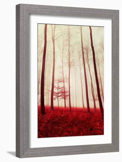 In the Footsteps of Fairy Tales-Philippe Sainte-Laudy-Framed Photographic Print