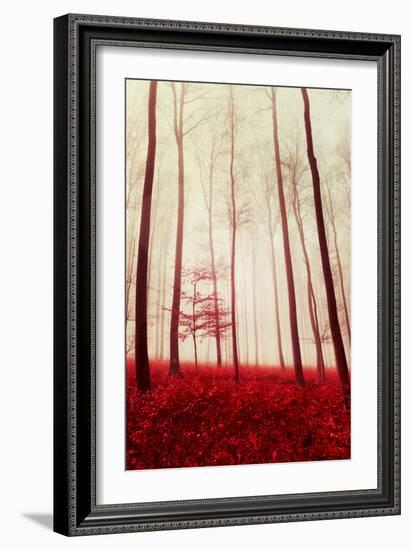 In the Footsteps of Fairy Tales-Philippe Sainte-Laudy-Framed Photographic Print