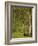 In the Forest at Pontaubert-Georges Seurat-Framed Giclee Print