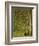 In the Forest at Pontaubert-Georges Seurat-Framed Giclee Print