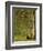 In the Forest at Pontaubert-Georges Seurat-Framed Giclee Print