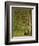 In the Forest at Pontaubert-Georges Seurat-Framed Giclee Print