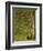 In the Forest at Pontaubert-Georges Seurat-Framed Giclee Print