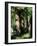 In the Forest of Fontainebleau-Pierre-Auguste Renoir-Framed Giclee Print