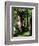 In the Forest of Fontainebleau-Pierre-Auguste Renoir-Framed Giclee Print