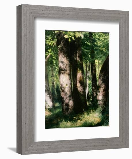In the Forest of Fontainebleau-Pierre-Auguste Renoir-Framed Giclee Print