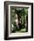 In the Forest of Fontainebleau-Pierre-Auguste Renoir-Framed Giclee Print