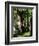 In the Forest of Fontainebleau-Pierre-Auguste Renoir-Framed Giclee Print