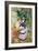 In the Garden, 1885-Pierre-Auguste Renoir-Framed Giclee Print