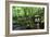 In the Garden II-Brian Moore-Framed Photographic Print