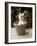 In the Garden-Jim Dratfield-Framed Photo