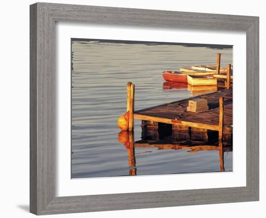 In the Golden Light II-Emily Kalina-Framed Art Print