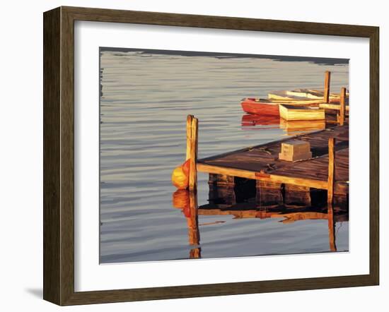 In the Golden Light II-Emily Kalina-Framed Art Print