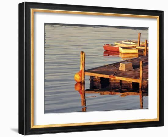 In the Golden Light II-Emily Kalina-Framed Art Print