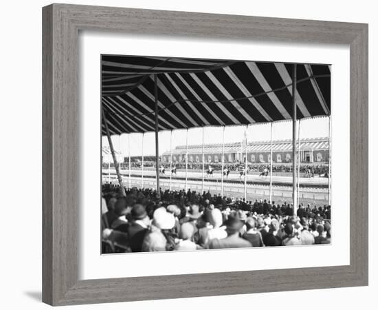In the Grandstand-null-Framed Photographic Print