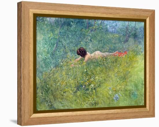 In the Grass (I Groengraset), 1902-Carl Larsson-Framed Premier Image Canvas