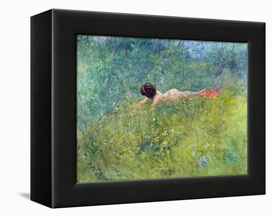 In the Grass (I Groengraset), 1902-Carl Larsson-Framed Premier Image Canvas