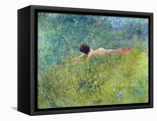 In the Grass (I Groengraset), 1902-Carl Larsson-Framed Premier Image Canvas