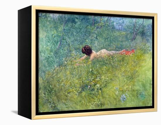 In the Grass (I Groengraset), 1902-Carl Larsson-Framed Premier Image Canvas