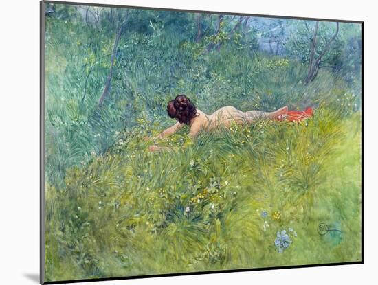 In the Grass (I Groengraset), 1902-Carl Larsson-Mounted Giclee Print