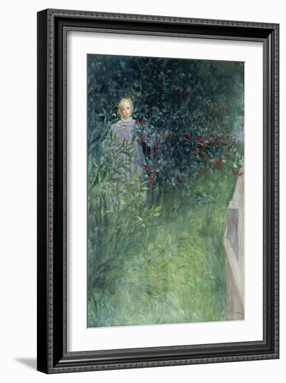 In the Hawthorn Hedge-Carl Larsson-Framed Giclee Print