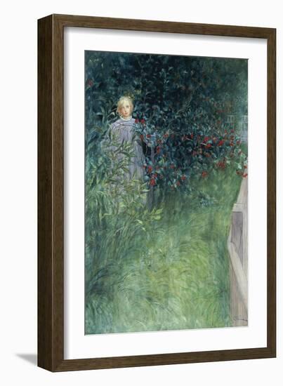 In the Hawthorn Hedge-Carl Larsson-Framed Giclee Print