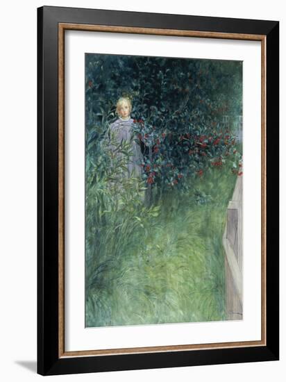 In the Hawthorn Hedge-Carl Larsson-Framed Giclee Print