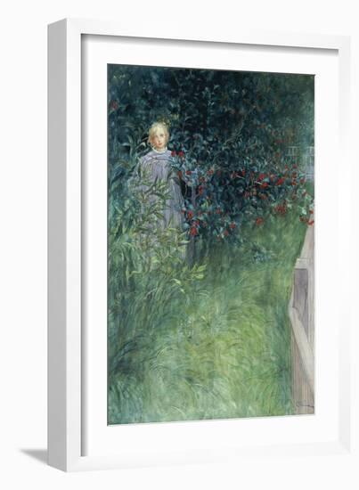 In the Hawthorn Hedge-Carl Larsson-Framed Giclee Print