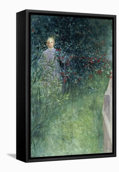 In the Hawthorn Hedge-Carl Larsson-Framed Premier Image Canvas