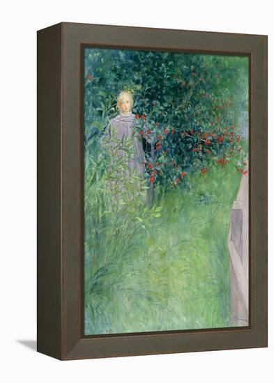 In the Holly Hedge-Carl Larsson-Framed Premier Image Canvas