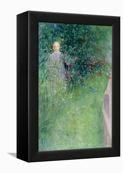 In the Holly Hedge-Carl Larsson-Framed Premier Image Canvas