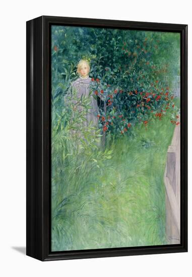 In the Holly Hedge-Carl Larsson-Framed Premier Image Canvas