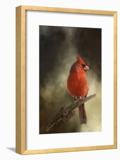 In the January Sun-Jai Johnson-Framed Giclee Print