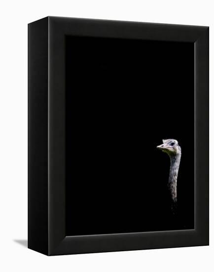 In the Know-Doug Chinnery-Framed Premier Image Canvas