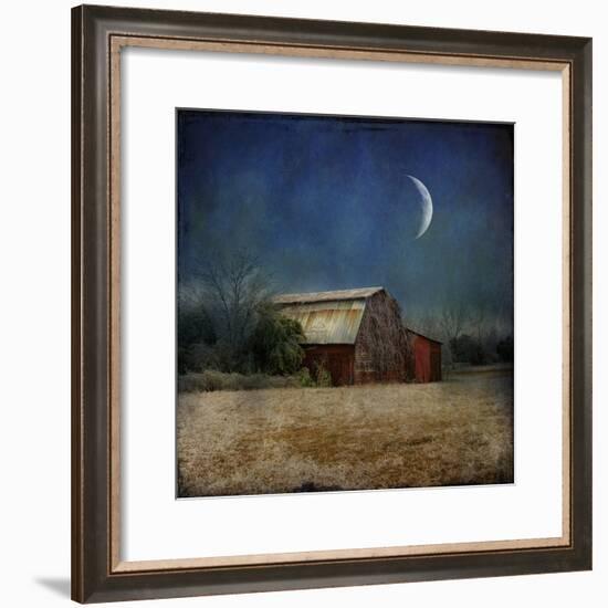 In the Land of Cotton-Barbara Simmons-Framed Giclee Print