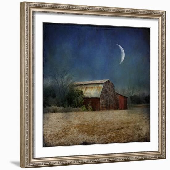 In the Land of Cotton-Barbara Simmons-Framed Giclee Print